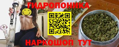 индика Апшеронск