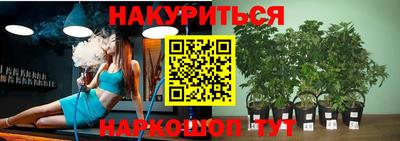 индика Апшеронск