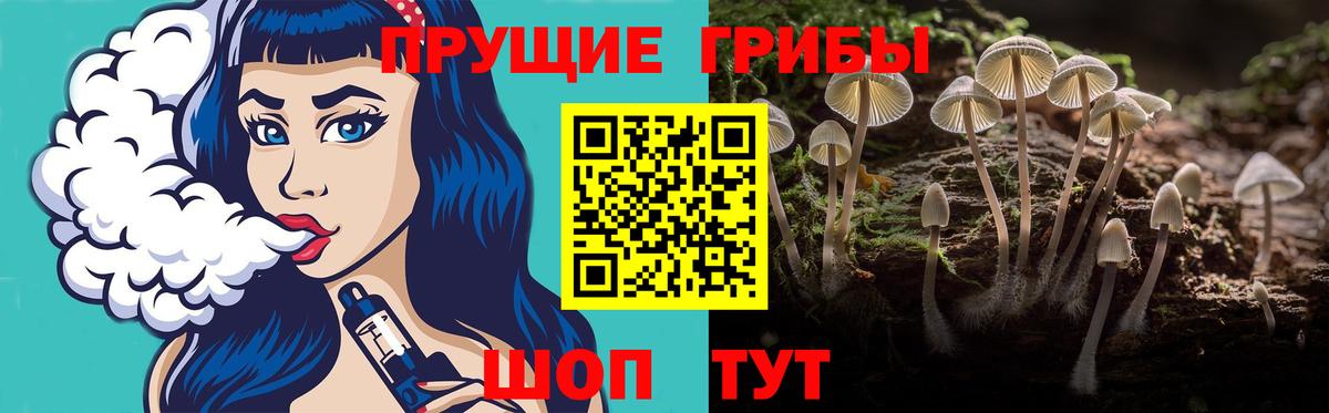 Галлюциногенные грибы ЛСД Белорецк